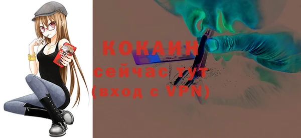 соль ск Нея