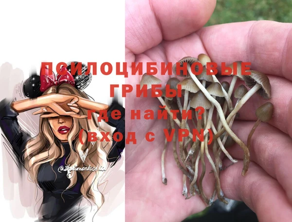 бошки Алзамай