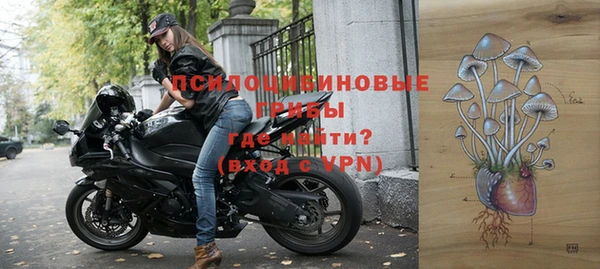 прущий лед Алексин