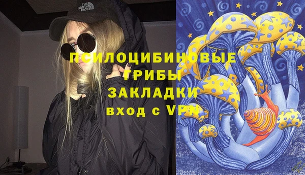 прущий лед Алексин